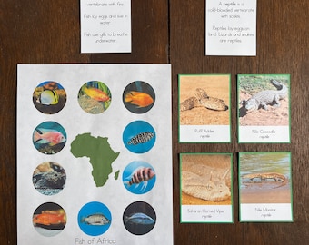 Montessori Vertebrates of Africa Bundle