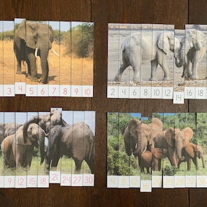 Montessori-Inspired Elephant Skip Counting Puzzles Printable