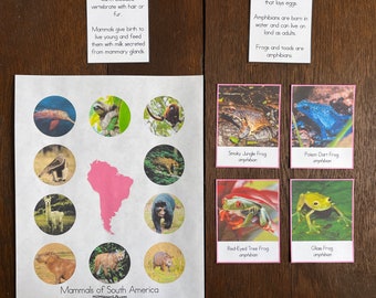 Montessori Vertebrates of South America Bundle