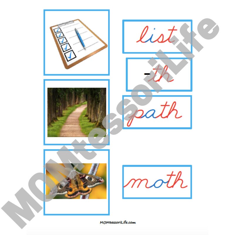 Printable Montessori Blue Series Photos and Word Cards + Word Lists in ...
