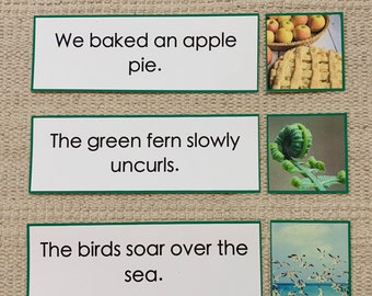 Printable Montessori Pink Series Sentence Strips - Etsy