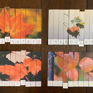 Montessori-Inspired Fall Leaves Skip Counting Puzzles Printable