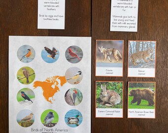 Montessori Vertebrates of North America Bundle