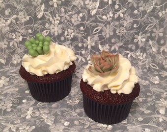 Mini Succulents cupcake toppers / Set of 12