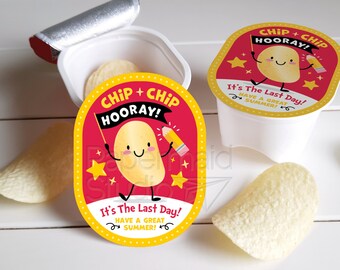 Last Day of School Chip Labels - Printable Snack Size Chips Tags - Potato Chips Sticker - Classroom Treat - End of School Year Teacher Gift