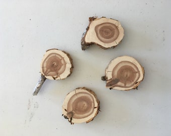 Set of 4 (2 1/2 - 3 1/2 inch x 1 inch thick)   Cedar Wood Slices