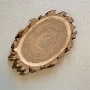 Aspen Wood Slices, Wood Rounds, Wood Slabs 8 - 9 diameter x 1 thick.