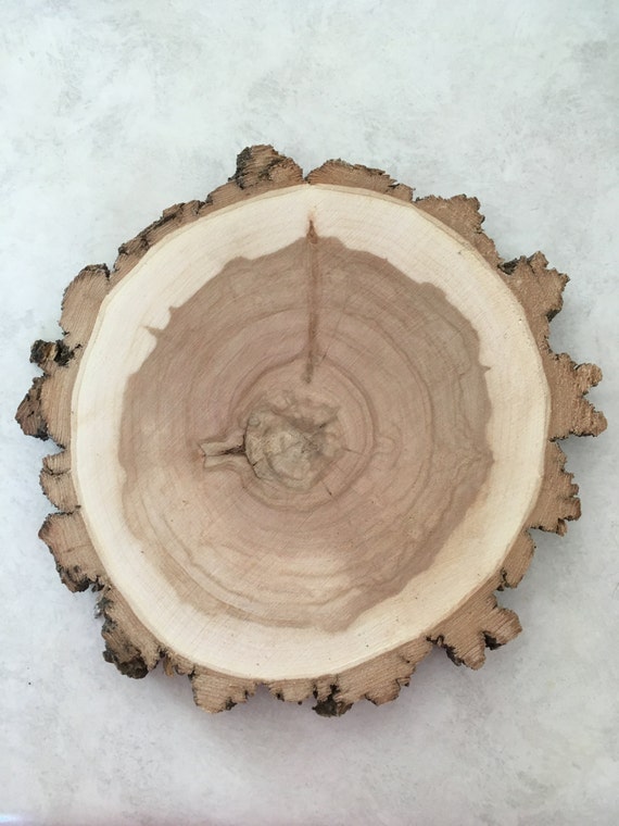 WILLOW Wood Slice 9-10 Inch X 1 Inch 