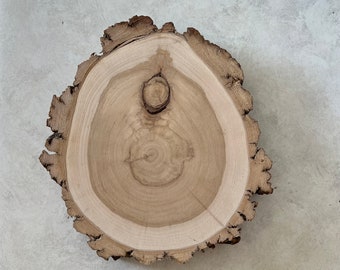 11 inch x 1 3/4 inch thick  Willow Wood Slice
