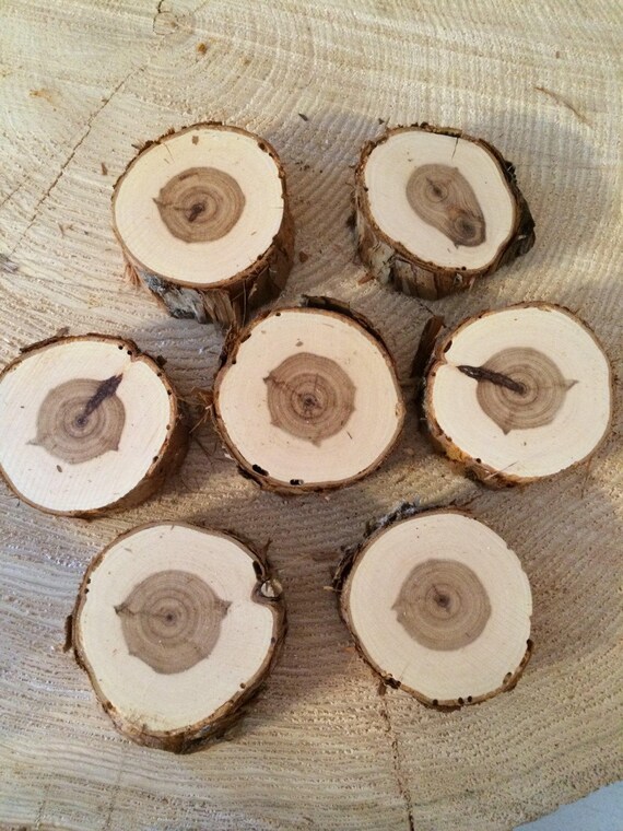 Set of 5 1 3/4 inch x 1 inch thick Cedar Wood Slices Etsy