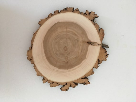 10 Inch X 1 Inch Willow Wood Slice 