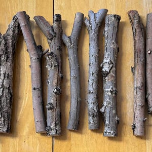 Willow Branches   1-2”x 12”