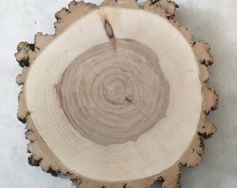 WILLOW Wood Slice  11-12 inch x 1 inch thick