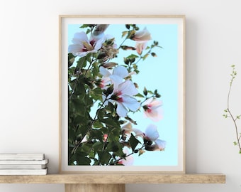 Flower Photography - Rose of Sharon Hibiscus Flower Photography Print - #CR-6966, White Hibiscus Flower Print, Hibiscus Flower Print