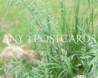 Postcards Set - Any 3 Postcards Set , Discount Postcard Set, Any 3 Cards Set, Postcards Set, Floral Postcards Set, Postcard Pack