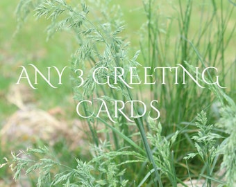 Greeting Card Set - Any 3 Cards for 19.50 Dollars, Discount Card Set, Any 3 Cards Set, Cards Set, Greeting Cards Pack, Mixed Cards Set