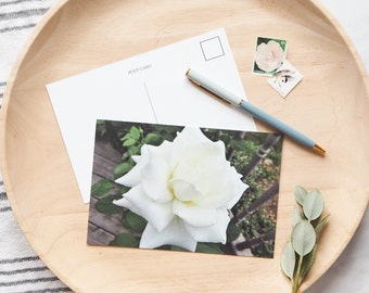 Rose Postcard - #3-751, White Rose Postcard, Flower Postcard, Floral Postcard, Rose Flower Postcard, White Rose Flower Postcard