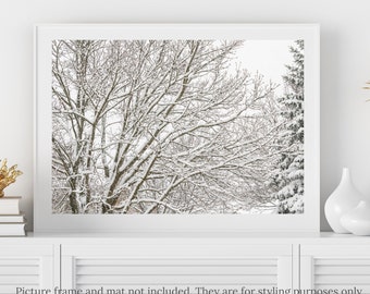 Nature Photography - Tree Branches in the Snow Photography Print- #8518, Winter Tree Print, Winter Tree Branches Photo, Snow Print, Wall Art