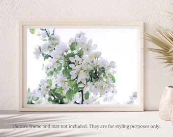 Flower Photography - White Apple Tree Blossoms Flower Photography Print - #2376, Apple Tree Blossoms Print, White Apple Tree Flowers Print