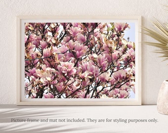 Magnolia Photography - #7525,  Pink Magnolia Flowers with Light Strings Print, Pink Magnolias Print, Magnolia Print, Flower Photography