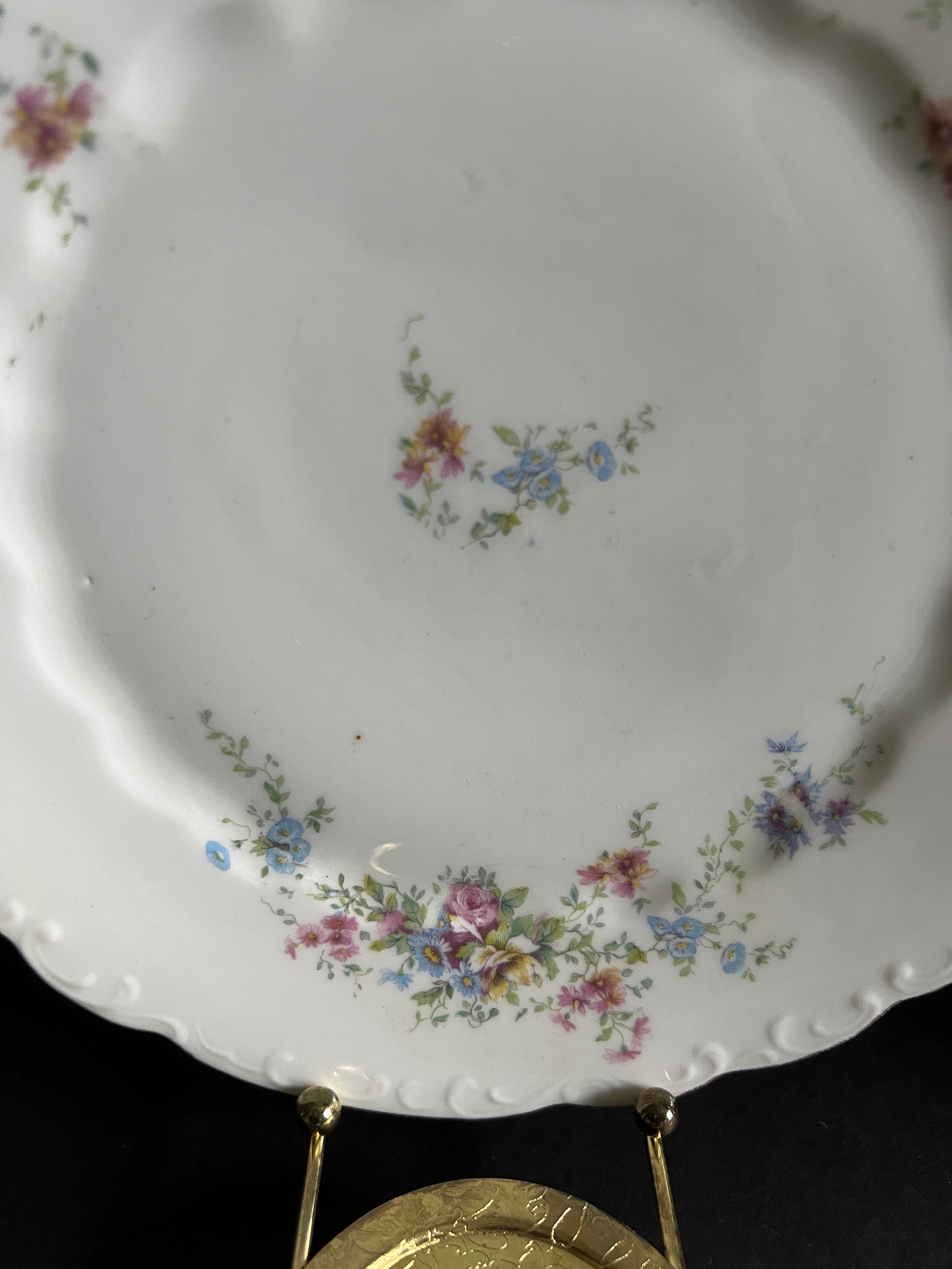 L S & S Carlsbad, Austria, China, Salad Plates, Sold as Set - Etsy