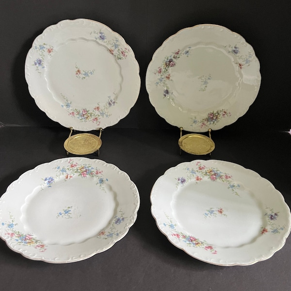 L S & S Carlsbad, Austria, China, Salad Plates, Sold as Set