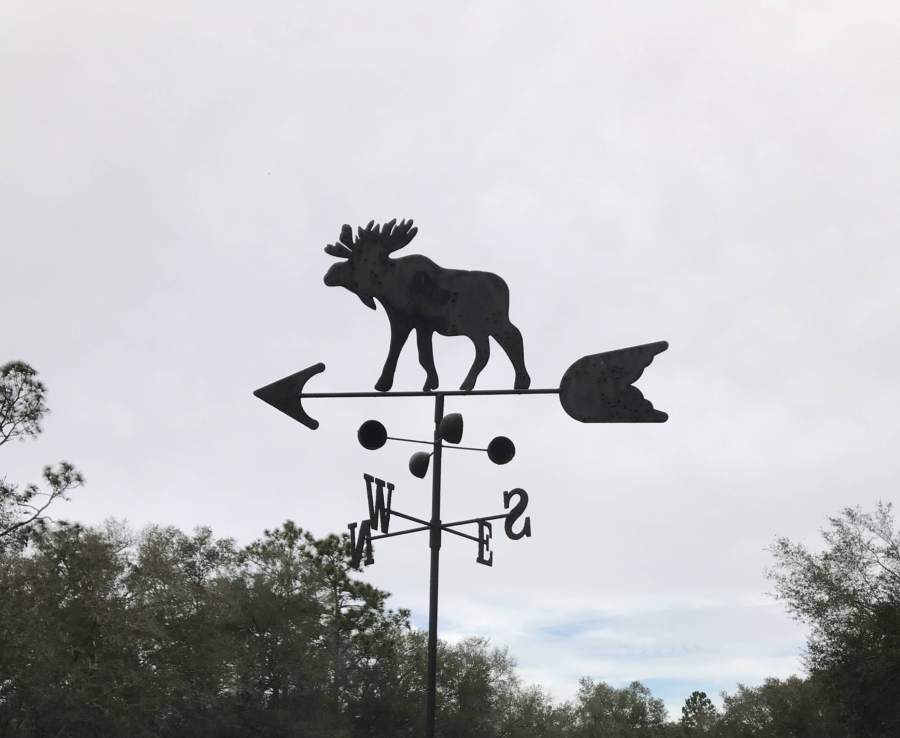 Weather Vane Wind Vane Moose Weather Vane Antique Moose Etsy