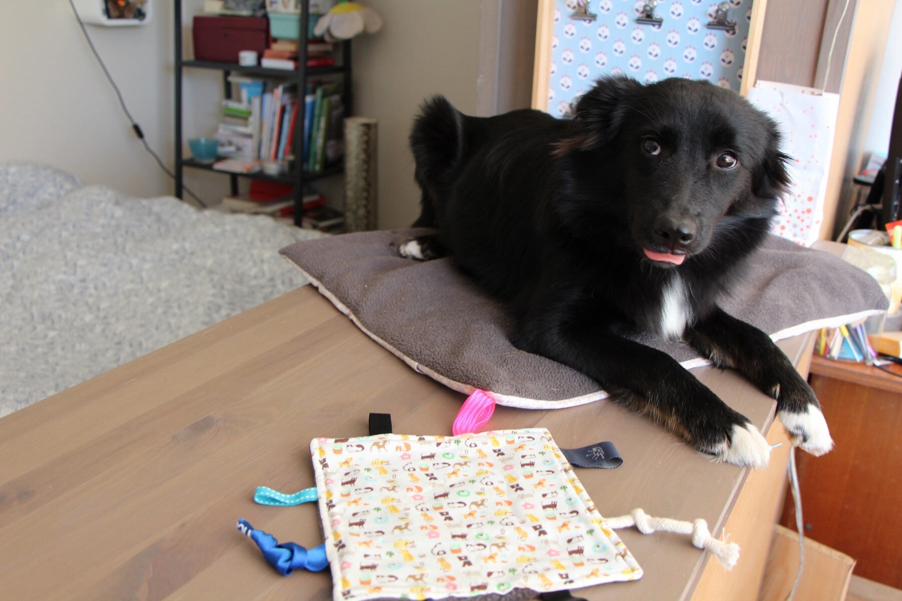 Doudou Pour Chien en Coton Crème à Motif Animaux et Polaire Marron