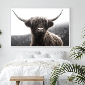 K&ouml;nnte beinhalten: Ein Schwarzwei&szlig;foto einer Highland-Kuh mit langem, struppigem Fell. Die Kuh schaut direkt in die Kamera mit einem ernsten Ausdruck.