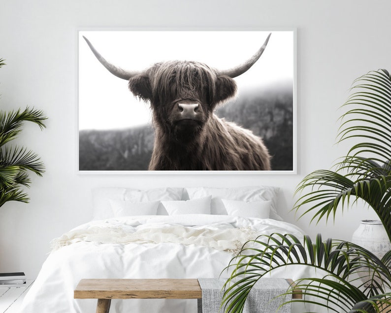 K&ouml;nnte beinhalten: Ein Schwarzwei&szlig;foto einer Highland-Kuh mit langem, struppigem Fell. Die Kuh schaut direkt in die Kamera mit einem ernsten Ausdruck.