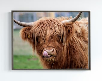 Highland Kuh Wandkunst Digitaler Download Wanddekoration | Kuh Dekor zum Download | Tierdrucke | Schottland Printables | Schottische Wandkunst