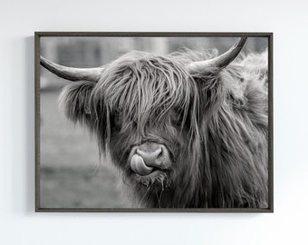 Highland Kuh Wandkunst | Digital | Wanddeko | Druck zum Herunterladen | Kuh Dekor | Animal Prints | Printables | Schottland Drucke | Schottisch