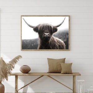 K&ouml;nnte beinhalten: Ein gerahmtes Schwarzwei&szlig;foto einer Highland-Kuh mit langem, struppigem Fell und gro&szlig;en H&ouml;rnern. Die Kuh schaut direkt in die Kamera.