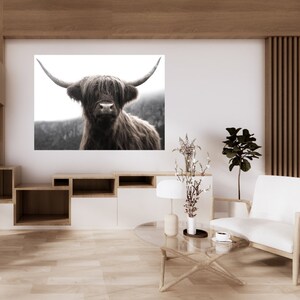 K&ouml;nnte beinhalten: Ein Schwarzwei&szlig;foto einer Highland-Kuh mit langem, struppigem Fell und gro&szlig;en H&ouml;rnern. Die Kuh schaut direkt in die Kamera. Der Hintergrund ist verschwommen und unscharf.