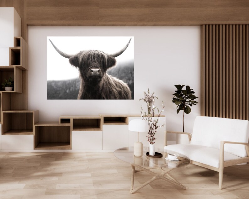 K&ouml;nnte beinhalten: Ein Schwarzwei&szlig;foto einer Highland-Kuh mit langem, struppigem Fell und gro&szlig;en H&ouml;rnern. Die Kuh schaut direkt in die Kamera. Der Hintergrund ist verschwommen und unscharf.