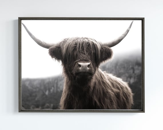 Highland Cow Wall Art Digital Wall Decor | Downloadable Print | Cow Decor Animal Art | Shaggy Cow Instant Download Scottish Printables