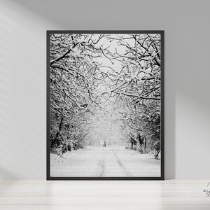 Winter Road Wall Art | Digital Wall Decor & Downloadable Print | Minimalist Winter Snow Decor | Snowfall Prints With Snowy Trees Pop Art