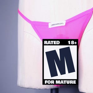 Mens Thong Underwear M, L, 2XL- Flamingo Power (UV Performance Power Mesh