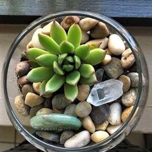 May include: A clear glass terrarium filled with a green succulent plant, small pebbles, and decorative stones. A clear quartz crystal and a green stone are also included. The terrarium sits on a black and white patterned surface.