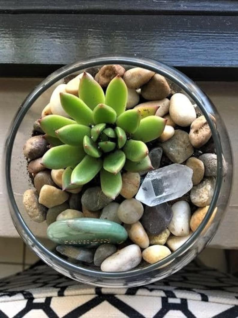May include: A clear glass terrarium filled with a green succulent plant, small pebbles, and decorative stones. A clear quartz crystal and a green stone are also included. The terrarium sits on a black and white patterned surface.