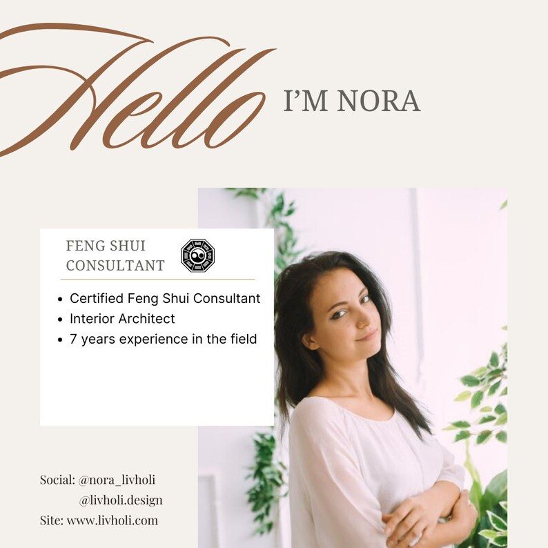 May include: A light beige graphic with the word "Hello" in a cursive font and the text "I'M NORA". A business card-style graphic lists "FENG SHUI CONSULTANT" and details: Certified Feng Shui Consultant, Interior Architect, and 7 years experience.