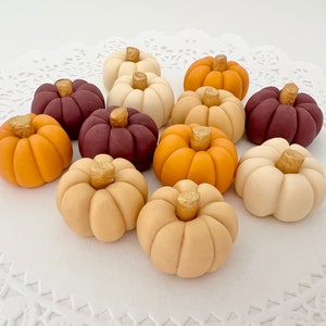 Fondant Pumpkins, Pumpkin Cake Topper, Pumpkin Cupcakes, Fall Cake Decorations, Mini Pumpkins