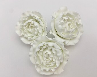 Medium Ranunculus White