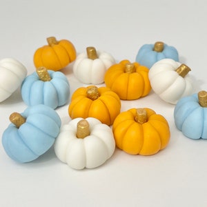 Mini Fondant Pumpkins Colors Ivory, Baby Blue, Pumpkin  Fall Baby Shower Blue Pumpkins Edible Pumpkins Cake Topper