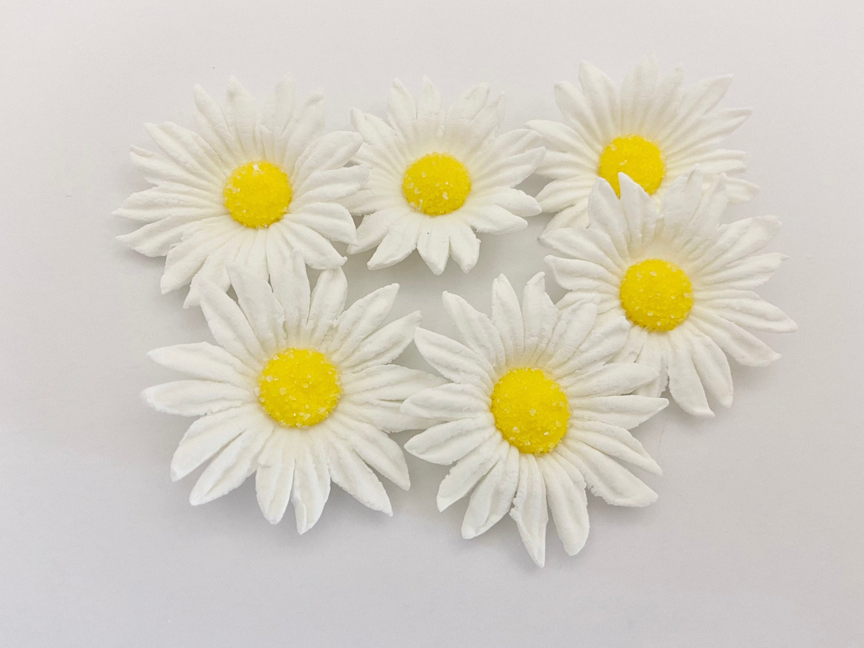Medium Royal Icing Gerbera Daisy White Etsy UK