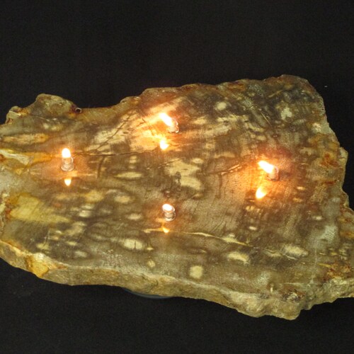 4 wick petrified wood oil shops candle