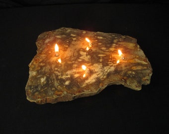 4 wick petrified wood oil candle