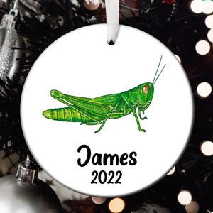 Personalized Grasshopper Christmas Ornament, Grasshopper Santa Ornament, Grasshopper Tree Ornament, Grasshopper Gift T565