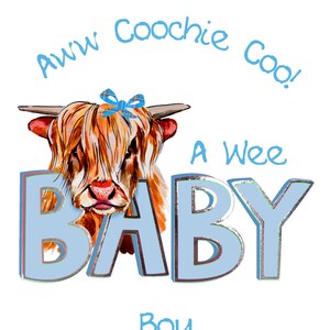 New Baby Card Coochie Coo Boy WWBA34 image 2