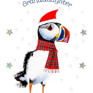 Christmas Puffin Card XM172